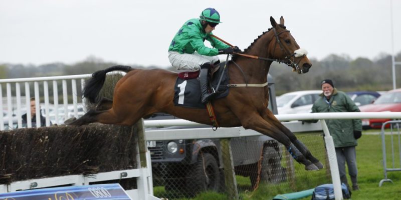 Retired Racehorse Stable – Ballycoe