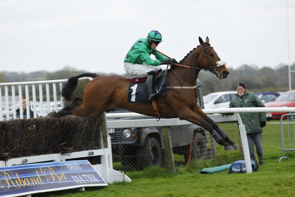 Retired Racehorse Stable – Ballycoe