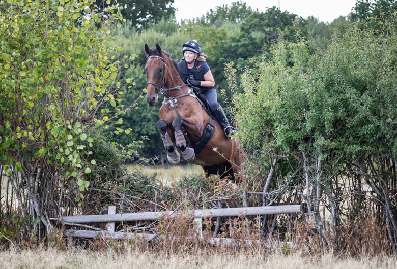 Ballycoe enjoying life after racing