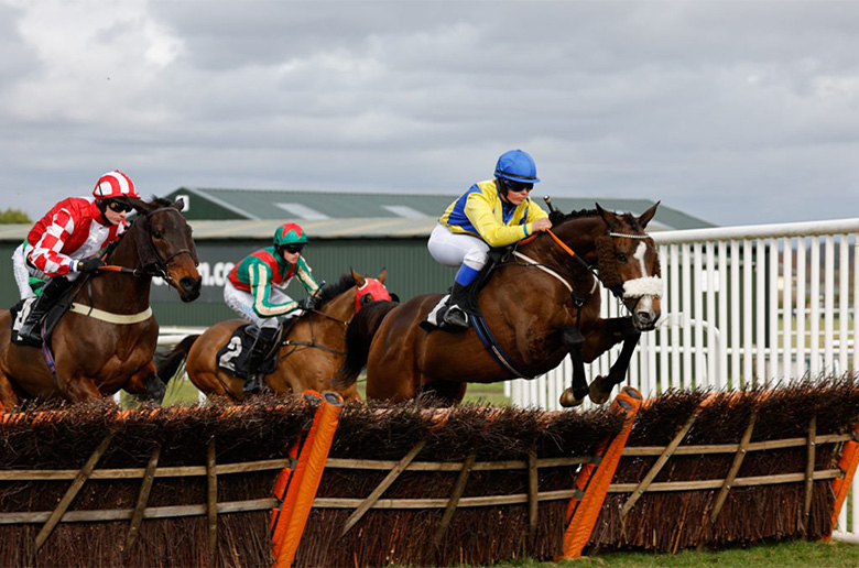 Winter Raceday - Plumpton Preview