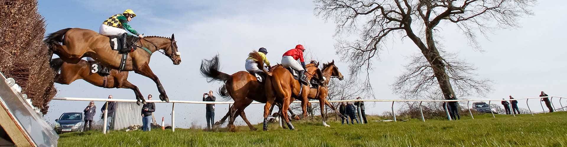 Plumpton Racecourse