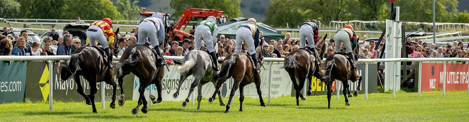 Plumpton Racecourse