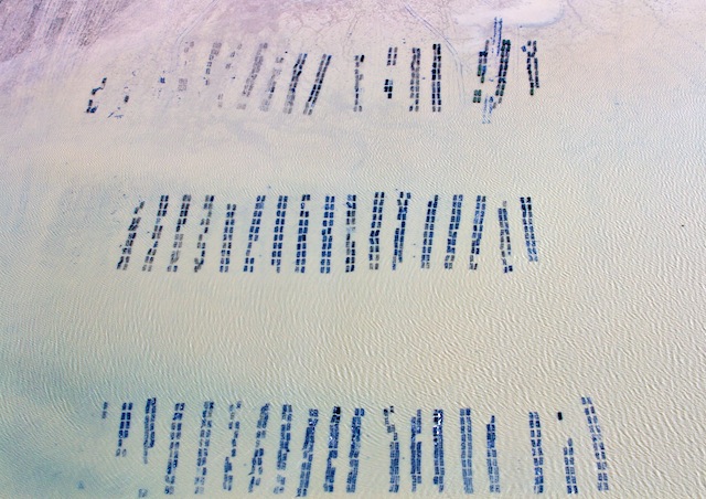 Stacks Image 85